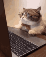 1592561704757.gif