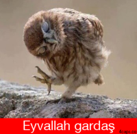 1592586629465.png