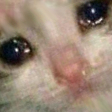asa.png