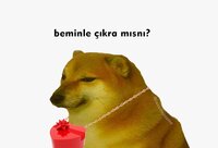 BeautyPlus_20200622010629256_save.jpg