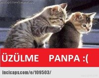 87629D31-51A8-44F8-9515-FFE2EE71DC5F.jpeg