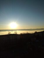 IMG_20200304_071857.jpg