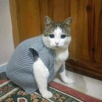 E7EB8E56-16FC-4306-8600-F84CD5BC0DDA.jpeg
