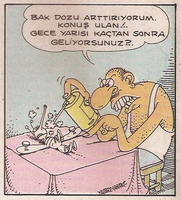 sinek_firt.png