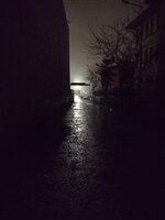 IMG_20200205_063726.jpg