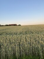 C126730B-A729-41C3-8615-7A4A16E76917.jpeg