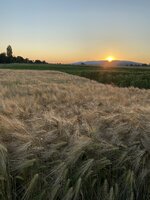 D46F8BF6-25FA-4295-B6E8-9D5B3C89A65E.jpeg