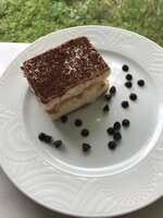 1353C2E0-7C66-419B-95BD-705BC6162A86.jpeg