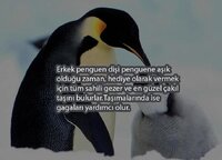 0bc6960faebe8ee8340fe089f1d90284.jpg 0bc6960faebe8ee8340fe089f1d90284.jpg