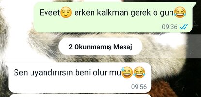 Screenshot_20230425_101800_WhatsApp.jpg