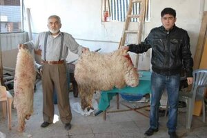 IMG_4637.jpeg