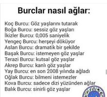 burçlar nasıl ağlar.jpg