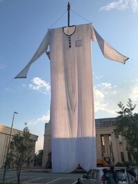 IMG_4337.jpeg