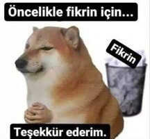 images (16).jpeg