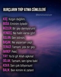 16d674dc-1c4f-45d5-b43d-a38a56acc09e.jpg