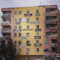 IMG_4504.jpeg
