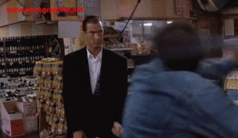 steven-seagal-fight.gif