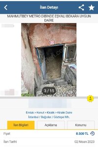 IMG_4525.jpeg