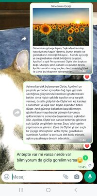 Screenshot_20230617_185020_WhatsApp.jpg