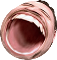 1688830450579.png 1688830450579.png