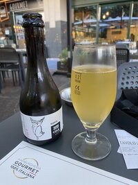 IMG_8702.jpeg IMG_8702.jpeg