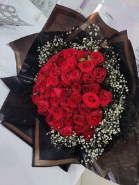 1000049780.jpg