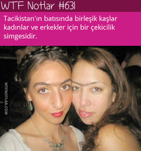 1689884886626.png
