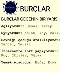 3dd31a18.jpg