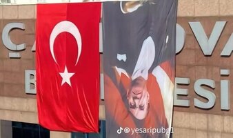 IMG_5466.jpeg