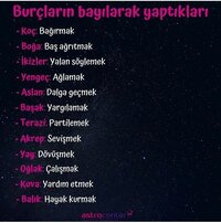 cb33c572.jpg