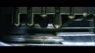 RichUncommonGrouper-max-1mb.gif