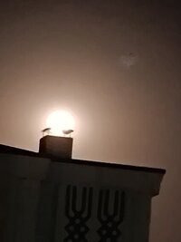 IMG_20230801_204340.jpg