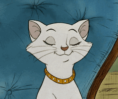tumblr_a82a61b9cdc2bd0a21b5264293713b4c_f32941af_1280.gif