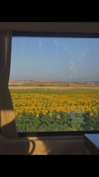 20230830_145905.jpg