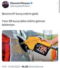 IMG_9568.jpeg