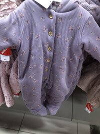 IMG_0559.jpeg IMG_0559.jpeg