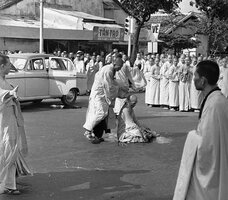 images (10) (74).jpeg