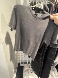 IMG_6623.jpeg
