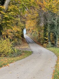 IMG_0033.jpeg
