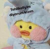 1beaa113dvs8y_1w0aavdsf.jpg 1beaa113dvs8y_1w0aavdsf.jpg
