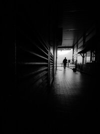 IMG_9685.jpeg