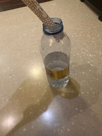IMG_6836.jpeg IMG_6836.jpeg