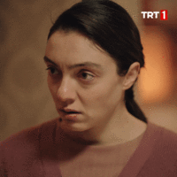 1701522202025.gif