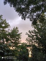 IMG_20200630_191847.jpg