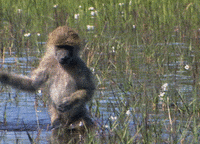 3431fb0d09aec74fa7f8da1723d05aae.gif