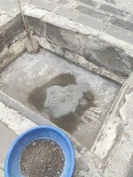 IMG_20200701_174239.jpg