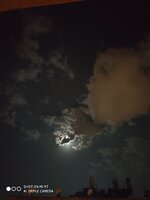 IMG_20200702_234739.jpg