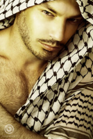 1594157352055.png