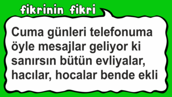 IMG_1354.png