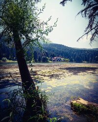 IMG_20231221_163509_135.jpg